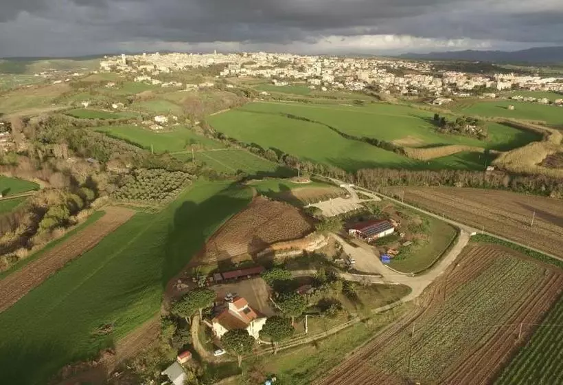 ホテル Agriturismo Il Poderino