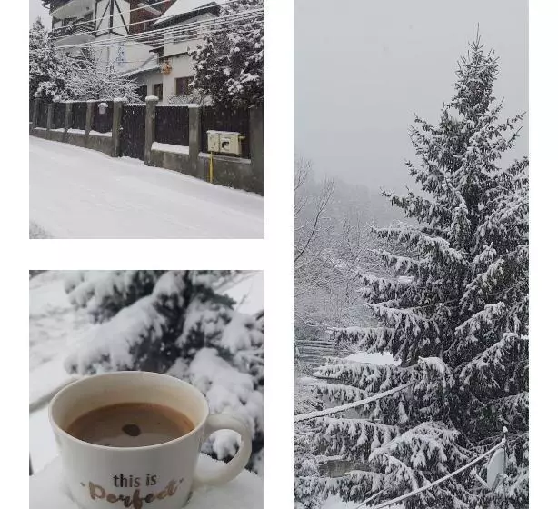 Majatalo Camere De Inchiriat Cascada