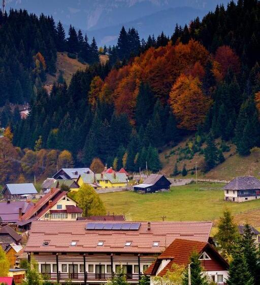 膳宿费 Casa Muntelui