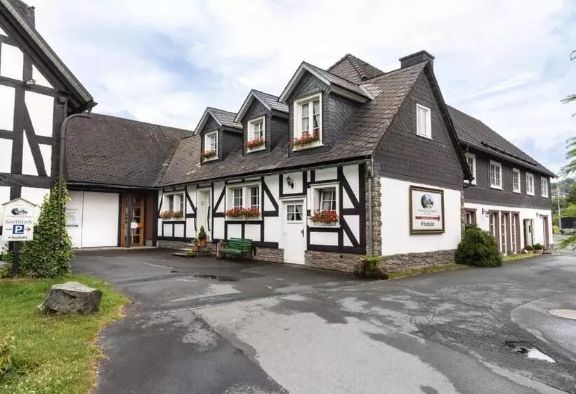 ペンション Gästehaus Schwarzenauer Mühle