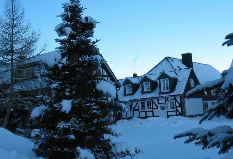 ペンション Gästehaus Schwarzenauer Mühle