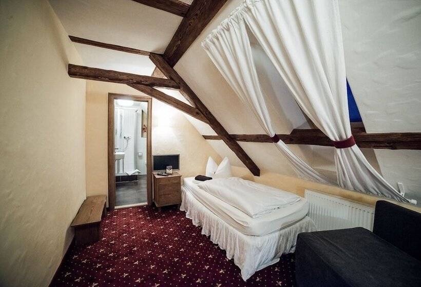 Пансион Rittergut Positz