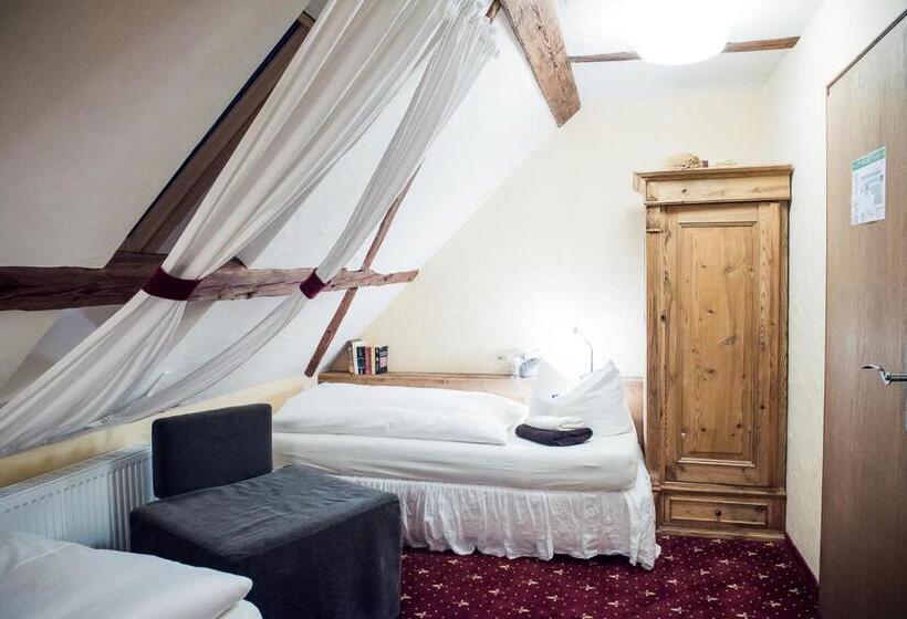 Пансион Rittergut Positz