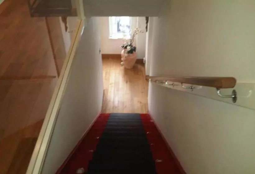 ペンション Acer Guest House