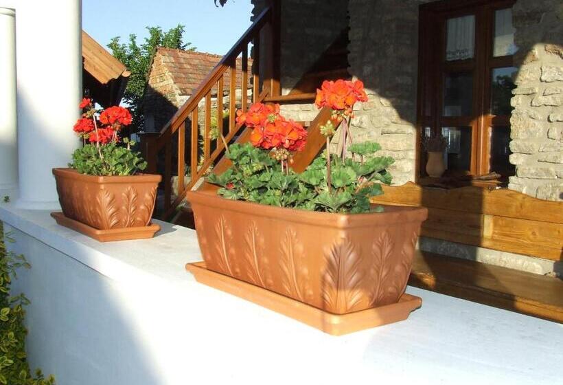 ペンション Csátó Vendégház