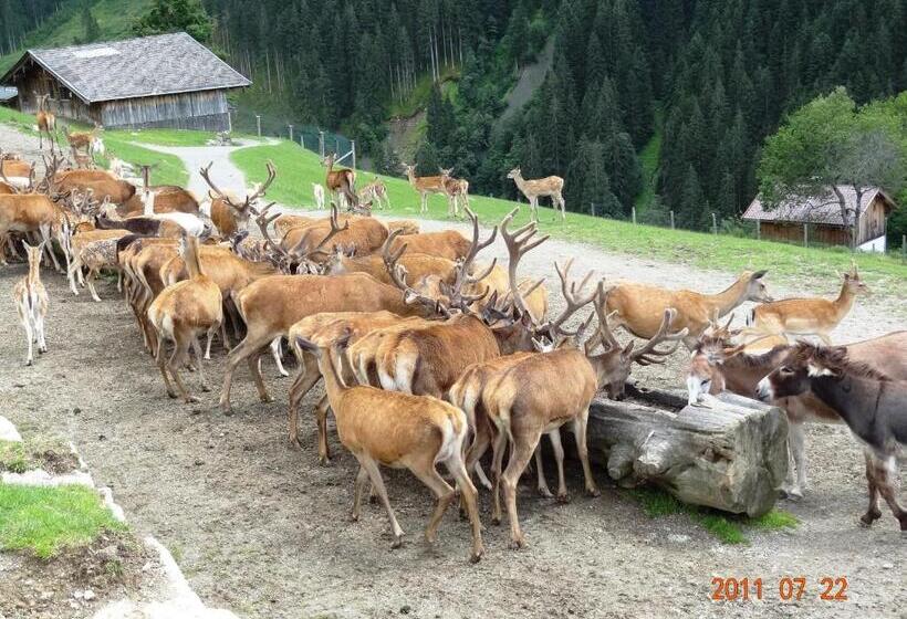 ペンション Golf & Ski Chalet