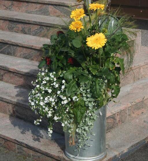 膳宿费 Haus Binder