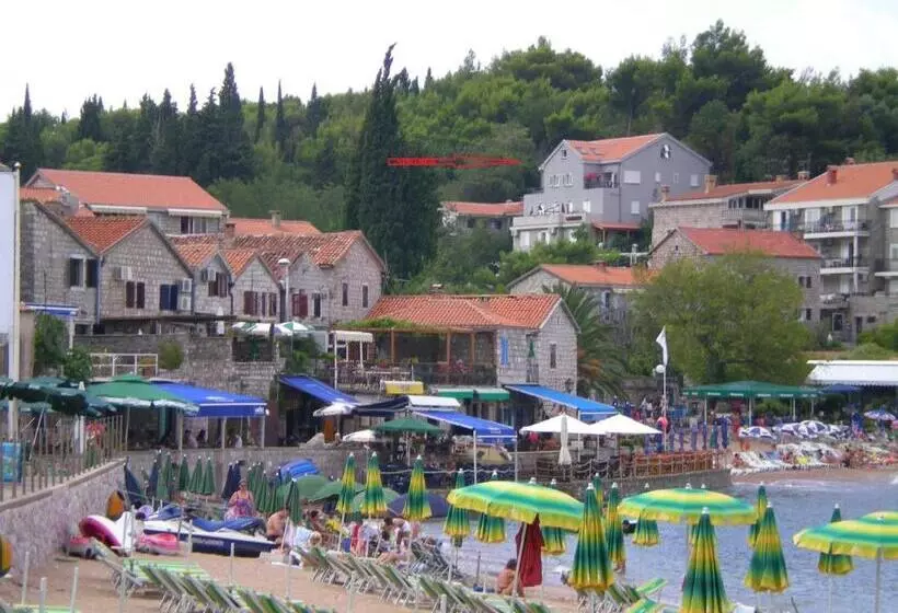 پانسیون Springs Apartments & Rooms