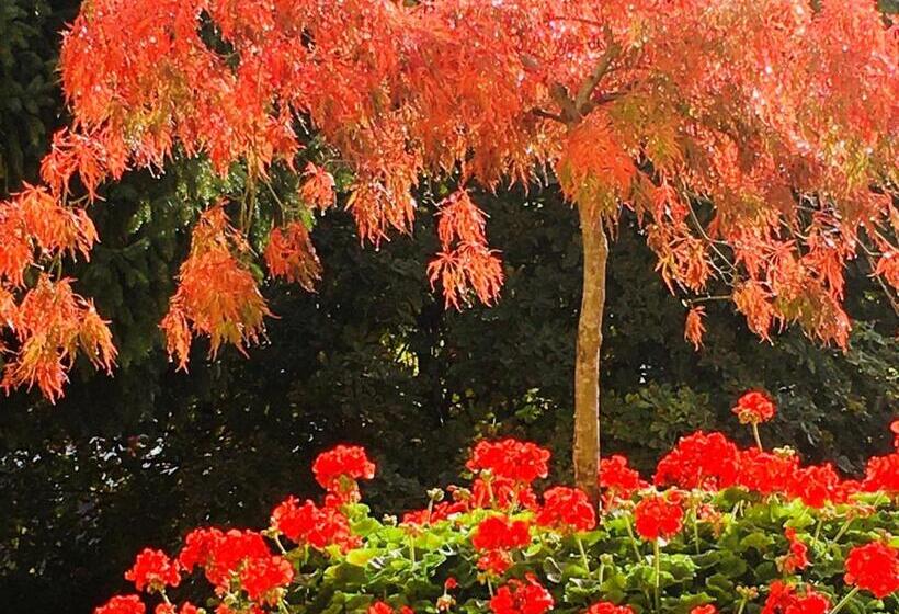 Residence Villa Stella