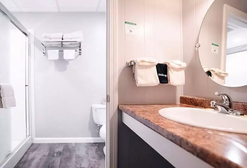 ユースホステル Scenic Inn