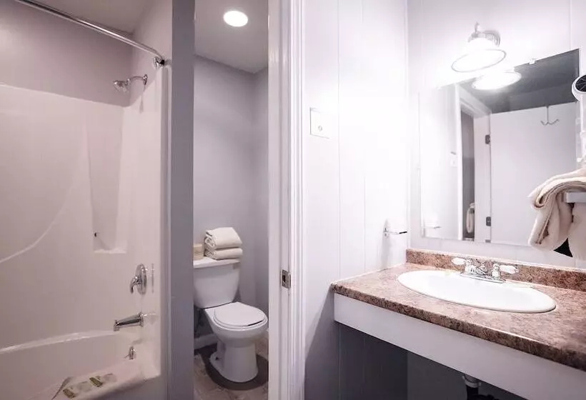 ユースホステル Scenic Inn