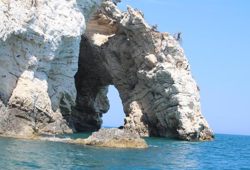 Camping Apartment Vignanotica