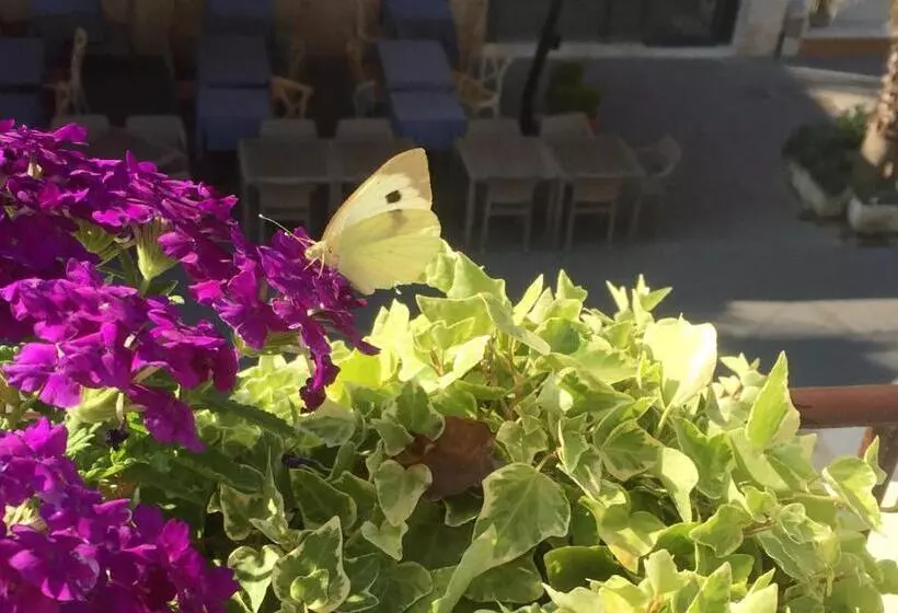 Majatalo Barocchetto Romano