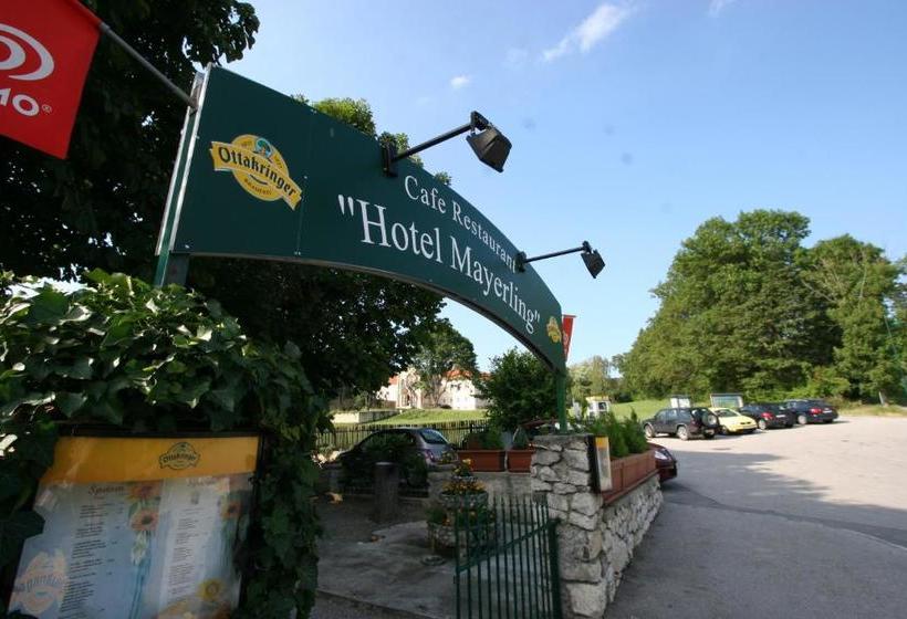 膳宿费 Mayerling Adults Only