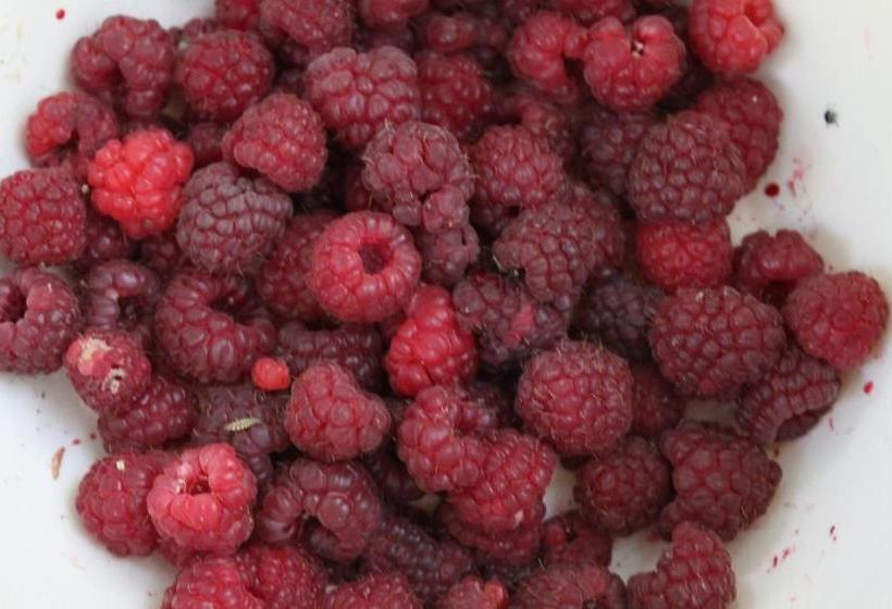 پانسیون Guest Accommodation Bakic