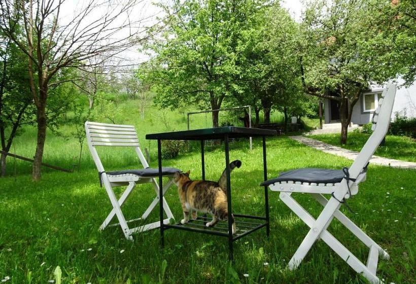 پانسیون Guest Accommodation Bakic