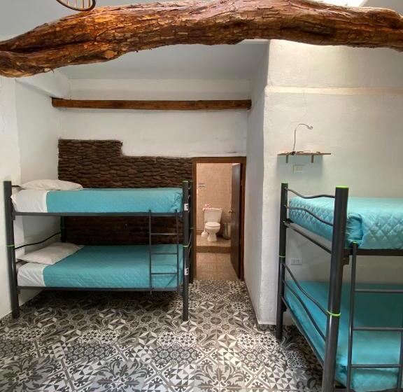 膳宿费 Rey Lagarto Hostel