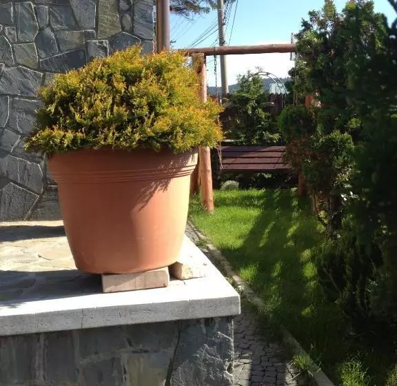 Pension Casa Ali & Andu