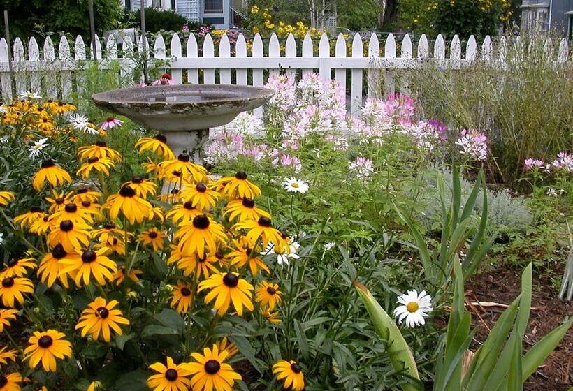 The Morrison House Bed And Breakfast