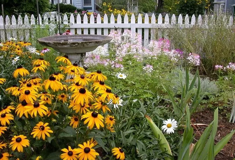 The Morrison House Bed And Breakfast