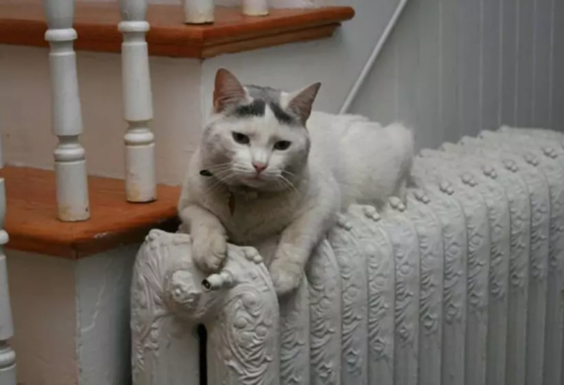 The Morrison House Bed And Breakfast