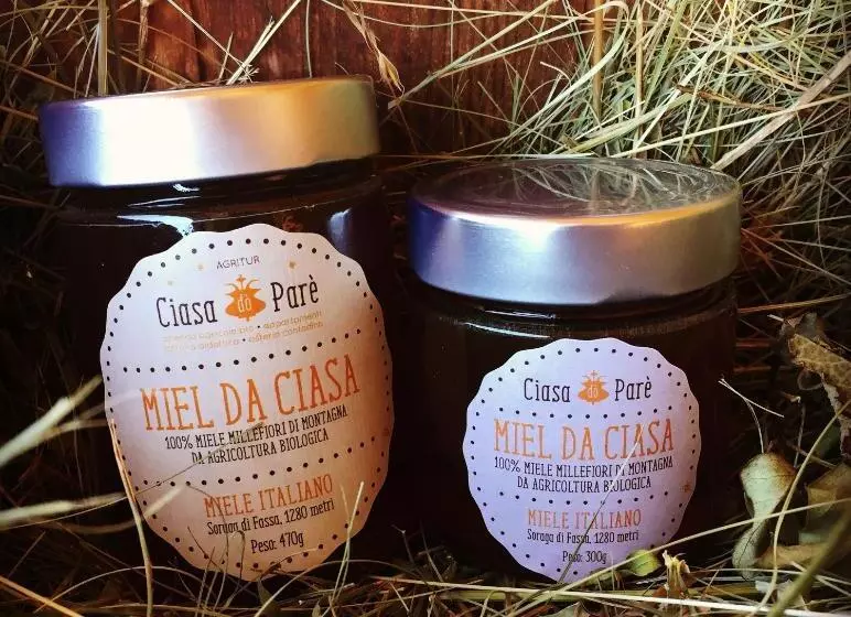ホテル Agritur Ciasa Dò Parè