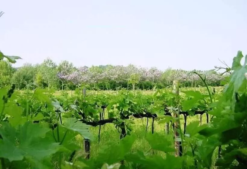 Hotelli Agriturismo Radaméz