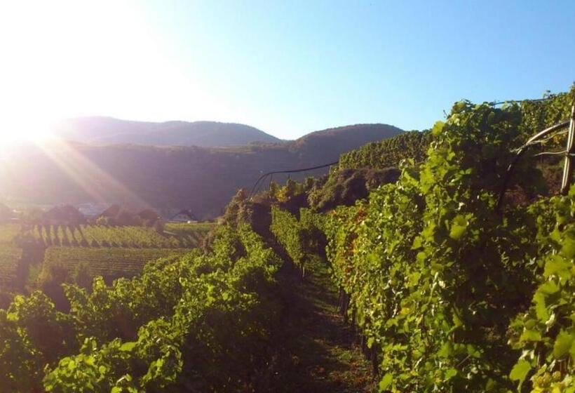 Пансион Gästehaus Haiminger Ehemalig Schmelz