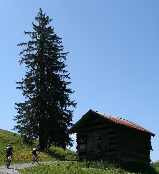 پانسیون Haus Alpenecho