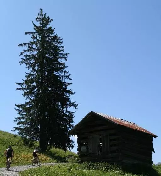 Majatalo Haus Alpenecho