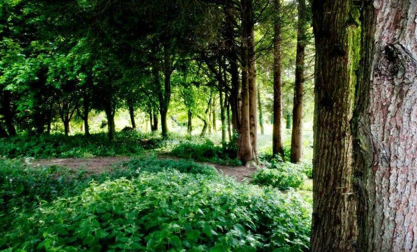 بنسيون Lakeview Holiday Cottages