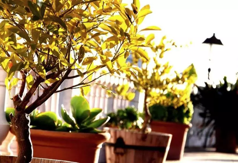 Majatalo Posada  Los Pedregales