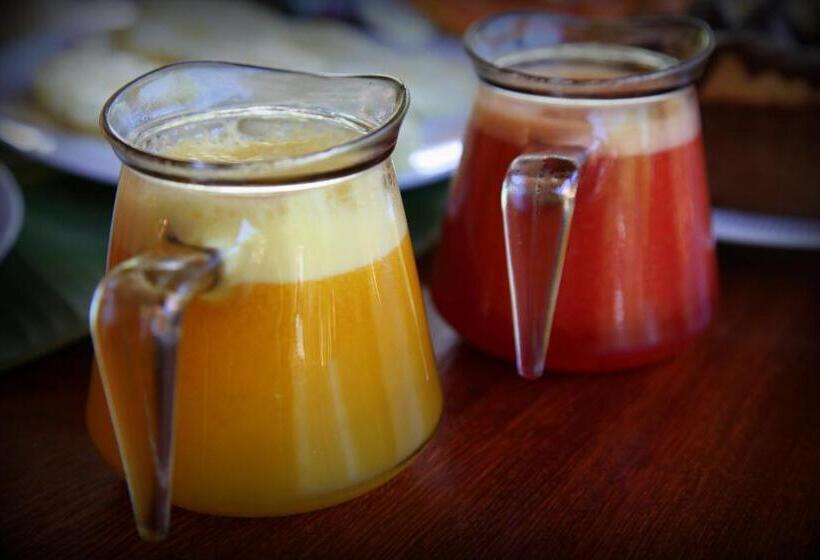 پانسیون Jangada Lodge