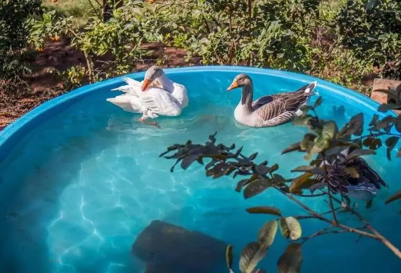 Majatalo Pousada Sonho Meu