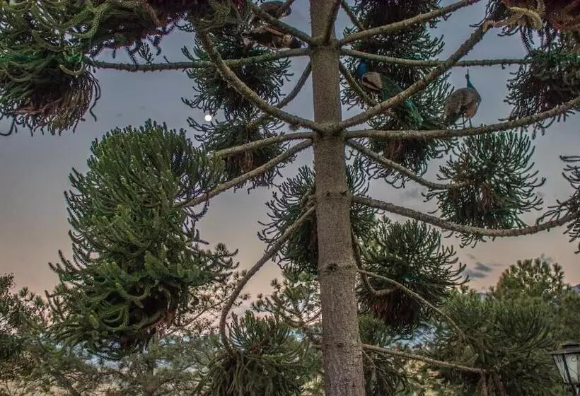 Majatalo Pousada Sonho Meu