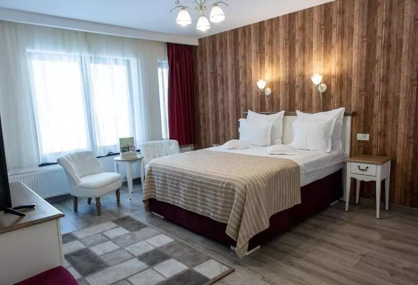 Pensiunea Carmen`s Mansion B