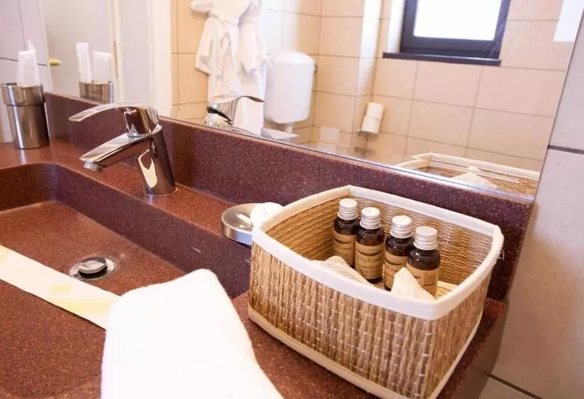 Pensiunea Carmen`s Mansion B