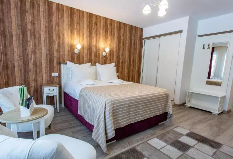 Pensiunea Carmen`s Mansion B