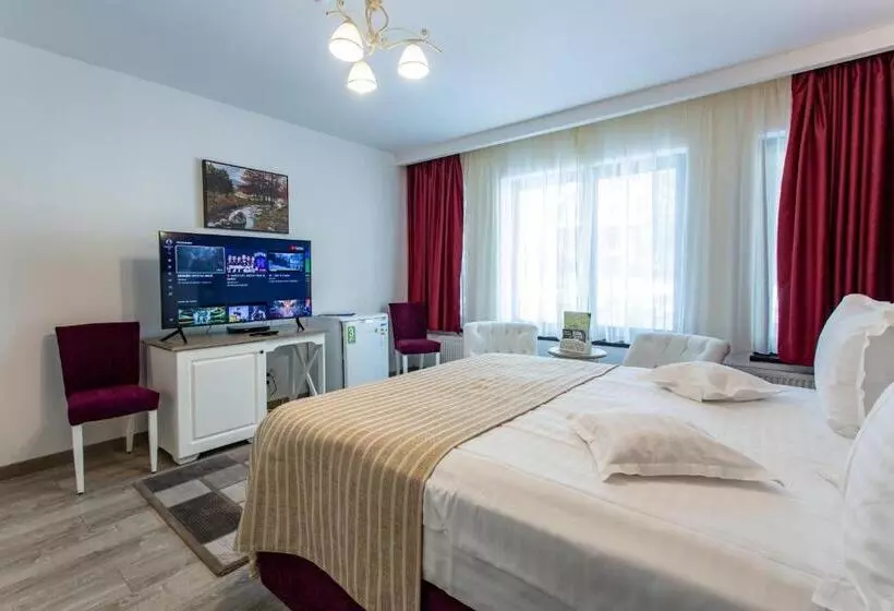 Pensiunea Carmen`s Mansion B