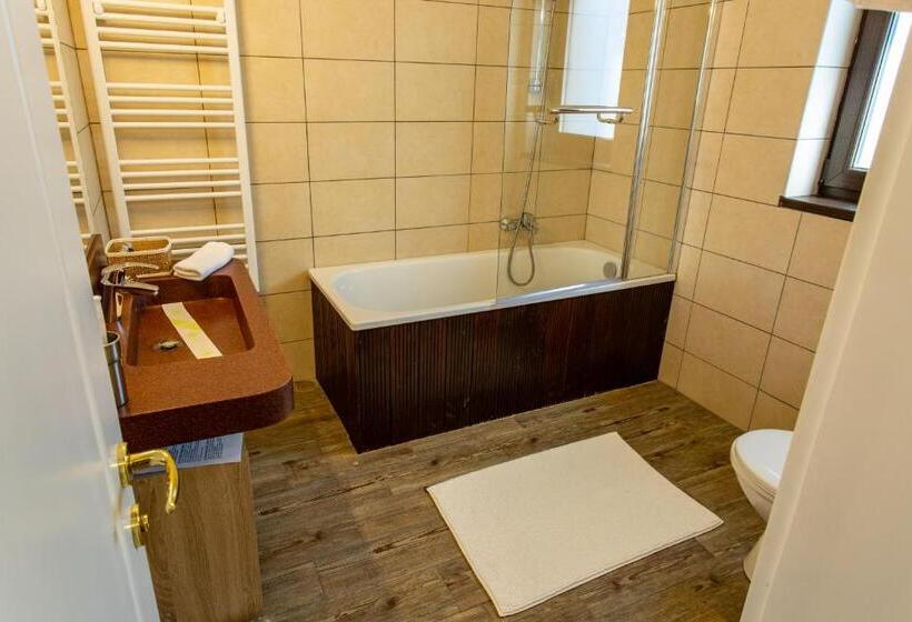 Pensiunea Carmen`s Mansion B