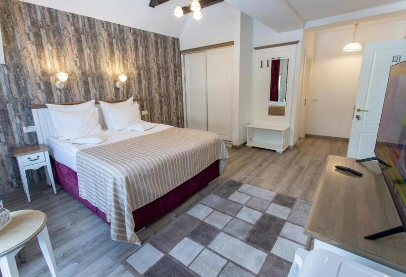 Pensiunea Carmen`s Mansion B