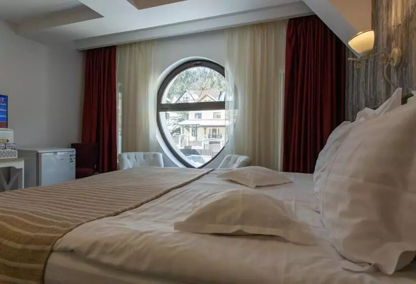 Pensiunea Carmen`s Mansion B