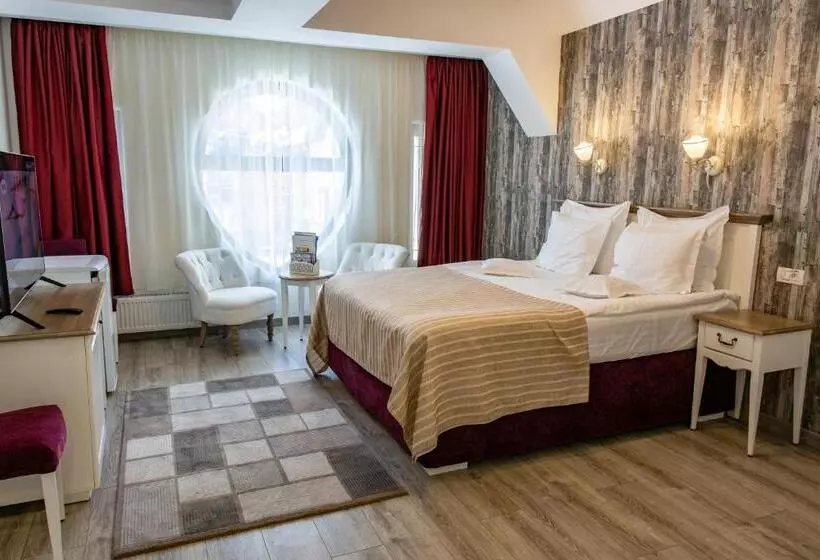 Pensiunea Carmen`s Mansion B