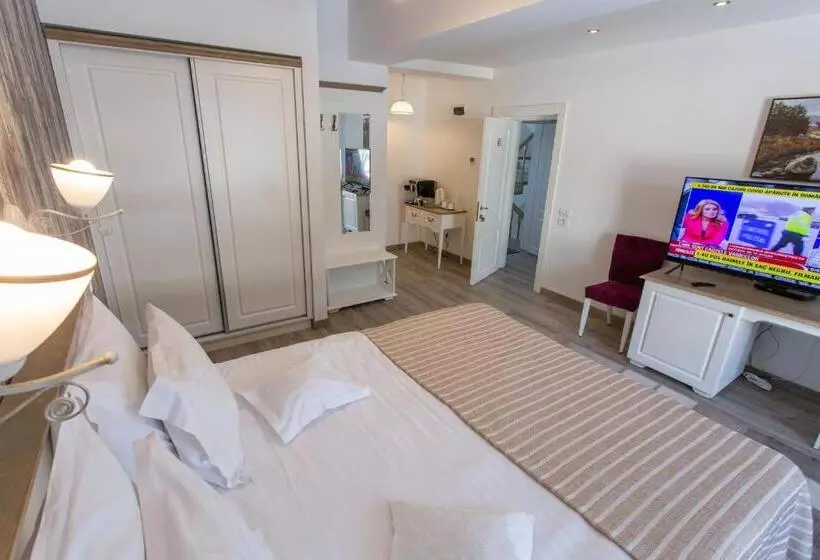 Pensiunea Carmen`s Mansion B