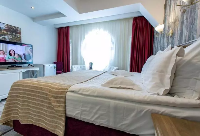 Pensiunea Carmen`s Mansion B