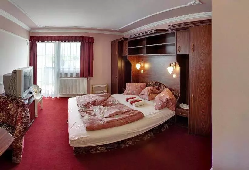 Pension Hegyi Villa