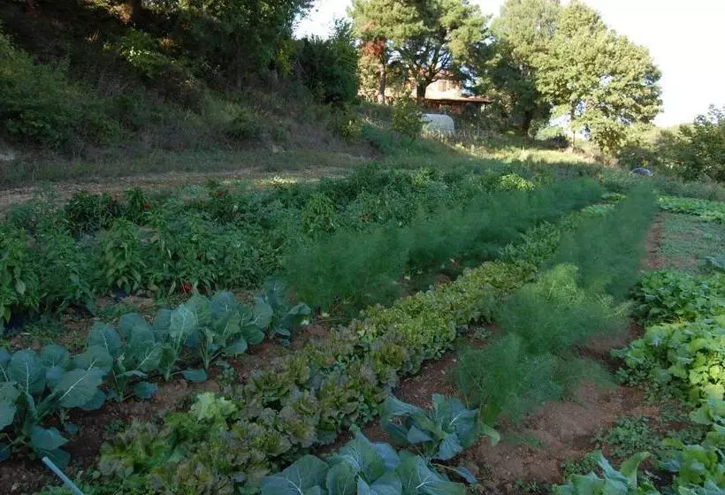 ホテル Bio Agriturismo Aia Del Tufo