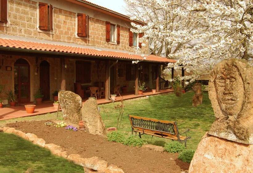 בית מלון כפרי Bio Agriturismo Aia Del Tufo