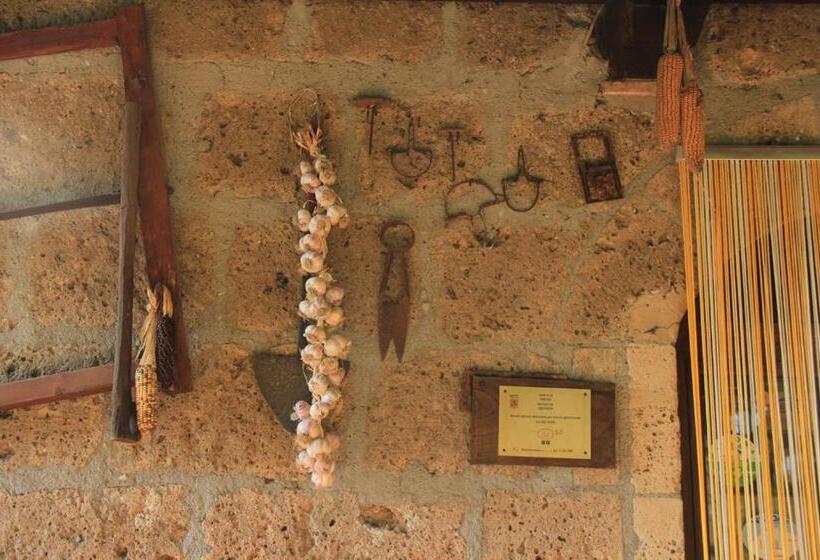 בית מלון כפרי Bio Agriturismo Aia Del Tufo