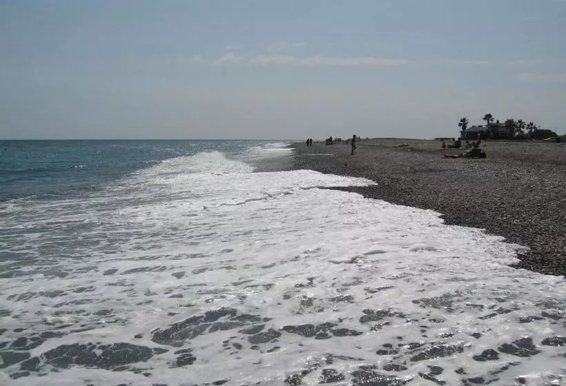 ペンション Hostal La Campana